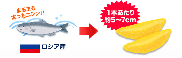 訳あり 本チャン塩数の子大折れ折れているだけでお得 自宅でたっぷり食べれる 快適生活 ライフサポート