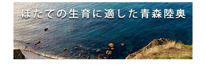 陸奥湾産】マルハニチロ「ほたて貝柱割身缶」そのままでもアレンジしても！ 快適生活-快適生活