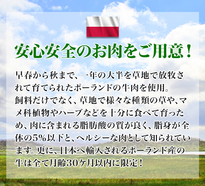 大特価】メガ盛り！サーロインステーキ 老舗肉屋の限定商品！買えば買うほどお買得！ 快適生活-快適生活