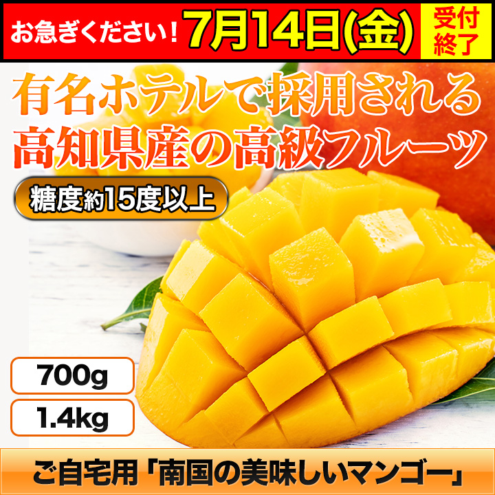 宮崎県産 完熟マンゴー 訳あり 3kg ドライマンゴー100g セット-