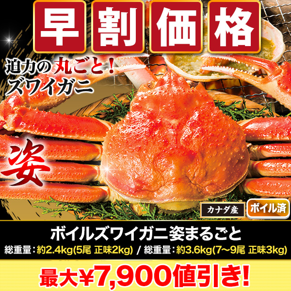 【早割価格】ボイルズワイガニ姿まるごと 総重量:約2.4kg(5尾)/総重量:約3.6kg(7～9尾)