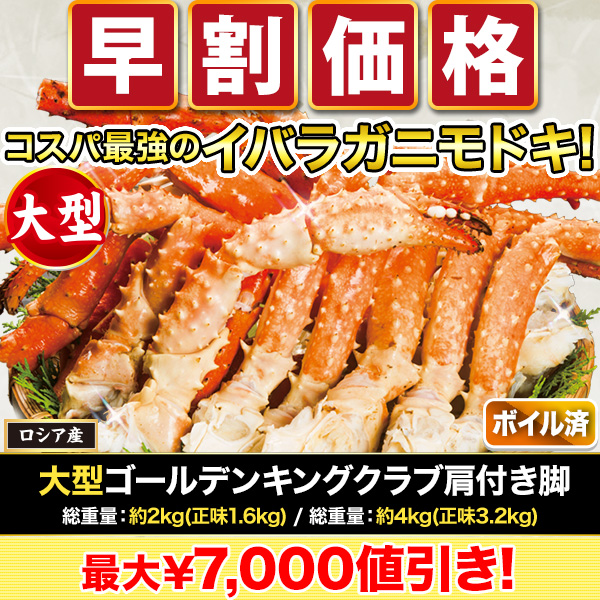 【早割価格】大型ゴールデンキングクラブ肩付き脚(ボイルイバラガニモドキ)  総重量:約2kg(正味1.6kg)/総重量:約4kg(正味3.2kg)