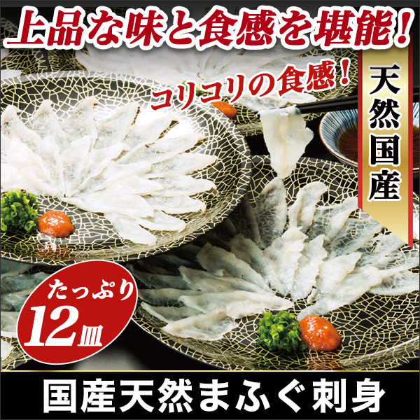 国産天然まふぐ刺身 12皿