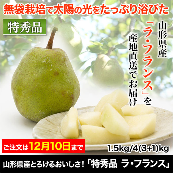 山形県産とろけるおいしさ！「特秀品 ラ・フランス」1.5kg/4(3+1)kg