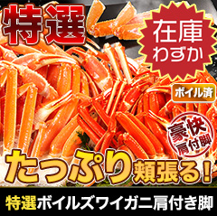 【ポイント使用でお得】特選ボイルズワイガニ肩付き脚 総重量:約1.8kg(正味1.5kg)/総重量:約3.6kg(正味3kg)/総重量:約5.5kg(正味5kg)