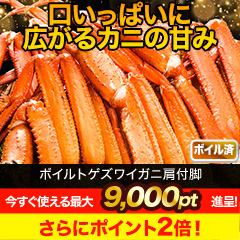 【★ポイント使用でお得★】ボイルトゲズワイガニ肩付脚 総重量:約2.4kg/総重量:約4.8kg