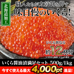 いくら醤油漬満足セット 500g/1kg