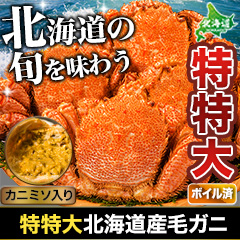 特特大北海道産毛ガニ 総重量：約1.1kg(1尾 正味1kg) / 総重量：約2.2kg(2尾 正味2kg)