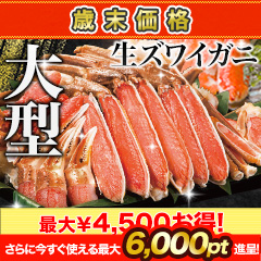 【歳末価格】絶品！大型生ズワイガニ剥き身欲張りセット 総重量:約1.5kg(正味1.2kg)/総重量:約3kg(正味2.4kg)/総重量:約4.5kg(正味3.6kg)