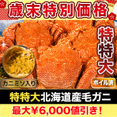 【歳末特別価格】特特大北海道産毛ガニ 総重量：約1.1kg(1尾 正味1kg) / 総重量：約2.2kg(2尾 正味2kg)