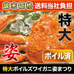 【歳末価格+送料当社負担】特大ボイルズワイガニ姿まつり 総重量:約3.6kg(5尾)