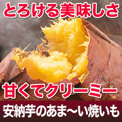 種子島産「安納芋のあま～い焼いも」 1.5kg/3kg