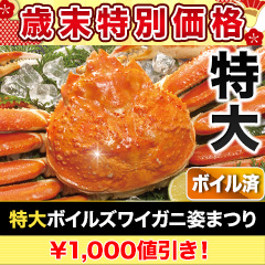 【歳末特別価格】特大ボイルズワイガニ姿まつり 総重量:約3.6kg(5尾)