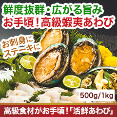 高級食材がこの価格！「活鮮あわび」 500g（10個入）/1kg（20個入）