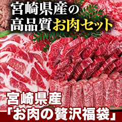 畜産王国宮崎メーカー企画 宮崎県産「お肉の贅沢福袋」