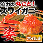 ボイルズワイガニ姿まるごと 総重量:約2.4kg(5尾)/総重量:約3.6kg(7～9尾)