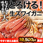 絶品！特特大生ズワイガニ剥き身欲張りセット 総重量:約1.5kg(正味1.2kg)/総重量:約3kg(正味2.4kg)/総重量:約4.5kg(正味3.6kg)