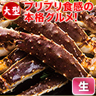 大型生タラバガニ肩付脚 総重量:約2kg(正味1.6kg)/総重量:約4kg(正味3.2kg)