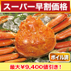 【スーパー早割価格】大型ボイルズワイガニ姿まつり 総重量:約2.4kg(4尾)/総重量:約3.6kg(6尾)