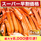 【スーパー早割価格】訳ありボイルトゲズワイガニ肩付脚 総重量:約2.4kg/総重量:約4.8kg