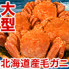 大型北海道産毛ガニ 総重量：約1.1kg(2尾 正味1kg) / 総重量：約2.2kg(4尾 正味2kg)