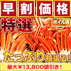 【早割価格】特選ボイルズワイガニ肩付き脚 総重量:約1.8kg(正味1.5kg)/総重量:約3.6kg(正味3kg)/総重量:約5.5kg(正味5kg)