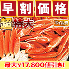 【早割価格】超特大特選ボイルズワイガニ肩付き脚 総重量:約1.8kg(正味1.5kg)/総重量:約3.6kg(正味3kg)/総重量:約5.5kg(正味5kg)