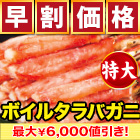 【早割価格】特大ボイルタラバガニ南蛮棒肉剥き身 総重量:約1kg(正味800g)/総重量:約2kg(正味1.6kg)