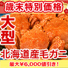 【歳末特別価格】大型北海道産毛ガニ 総重量：約1.1kg(2尾 正味1kg) / 総重量：約2.2kg(4尾 正味2kg)