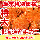 【歳末特別価格】特大北海道産毛ガニ 総重量：約820g(1尾 正味750g) / 総重量：約2.2kg(3尾 正味2kg)