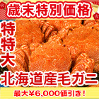 【歳末特別価格】特特大北海道産毛ガニ 総重量：約1.1kg(1尾 正味1kg) / 総重量：約2.2kg(2尾 正味2kg)