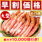 【早割価格】大型ゴールデンキングクラブ棒肉剥き身