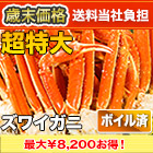 【歳末価格】超特大特選ボイルズワイガニ肩付き脚 総重量:約1.8kg(正味1.5kg)/総重量:約3.6kg(正味3kg)/総重量:約5.5kg(正味5kg)