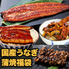 国産「うなぎ蒲焼福袋セット」