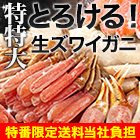 【CBC特番・送料当社負担】絶品！特特大生ズワイガニ剥き身欲張りセット 総重量:約1.5kg(正味1.2kg)/総重量:約3kg(正味2.4kg)