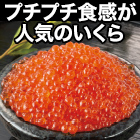 いくら醤油漬け 250g